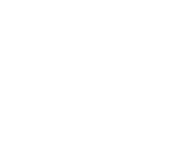 KIN ART